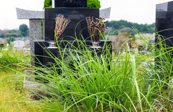 雑草対策で墓石を綺麗に保ちます | 四日市市の墓石クリーニングなら丁寧で柔軟なだいえんサービス