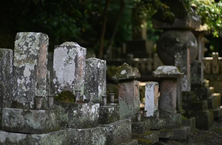 墓石の白華現象を防止 | 四日市市の墓石クリーニングなら丁寧で柔軟なだいえんサービス